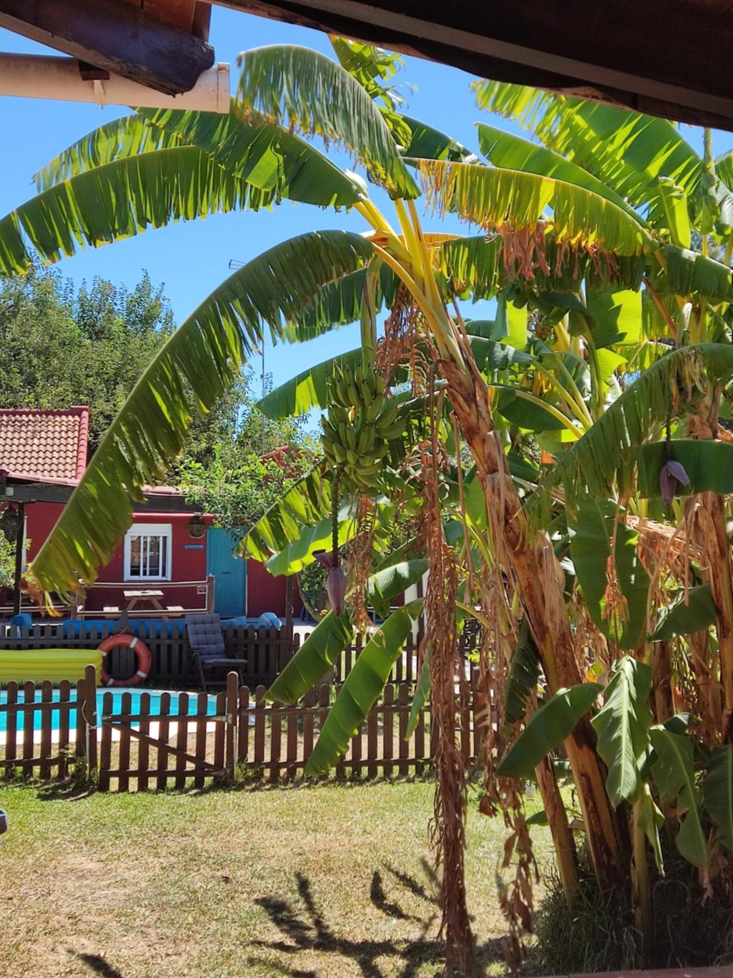 Karma House Guest House Casares Luaran gambar